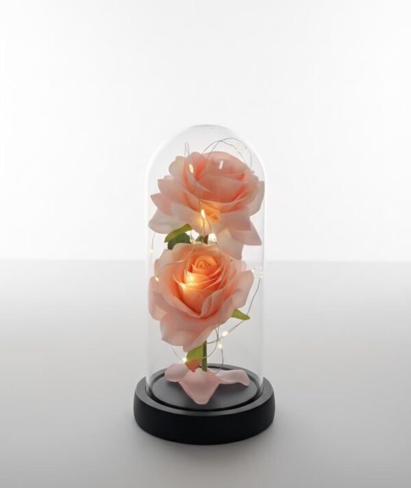 Cúpula de cristal con rosas artificiales LED, comúnmente conocidas como "rosas eternas"