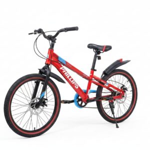 Bicicleta 20" deportiva con cuadro para mujer