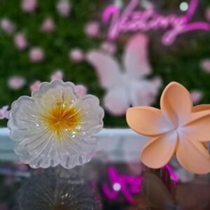 Pellizcos para pelo de diferentes diseños