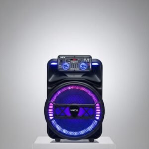 Altavoz portátil recargable 10mil watts