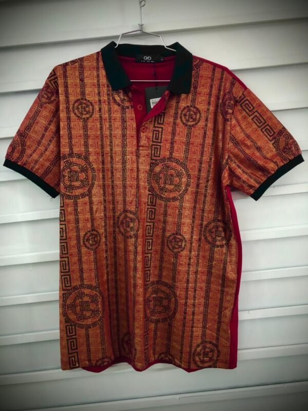 Playera tipo polo de hombre de la marca Pavini con un diseño estampado.