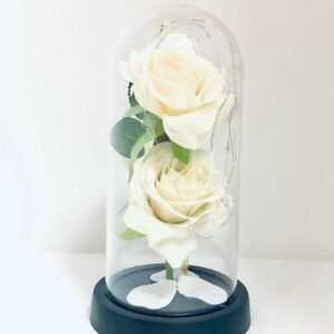 Cúpula de vidrio con rosas preservadas o artificiales, similar a un artículo de decoración de estilo "La Bella y la Bestia".