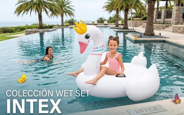 Flotador con forma de cisne
