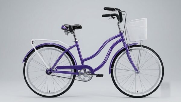 Bicicleta de paseo